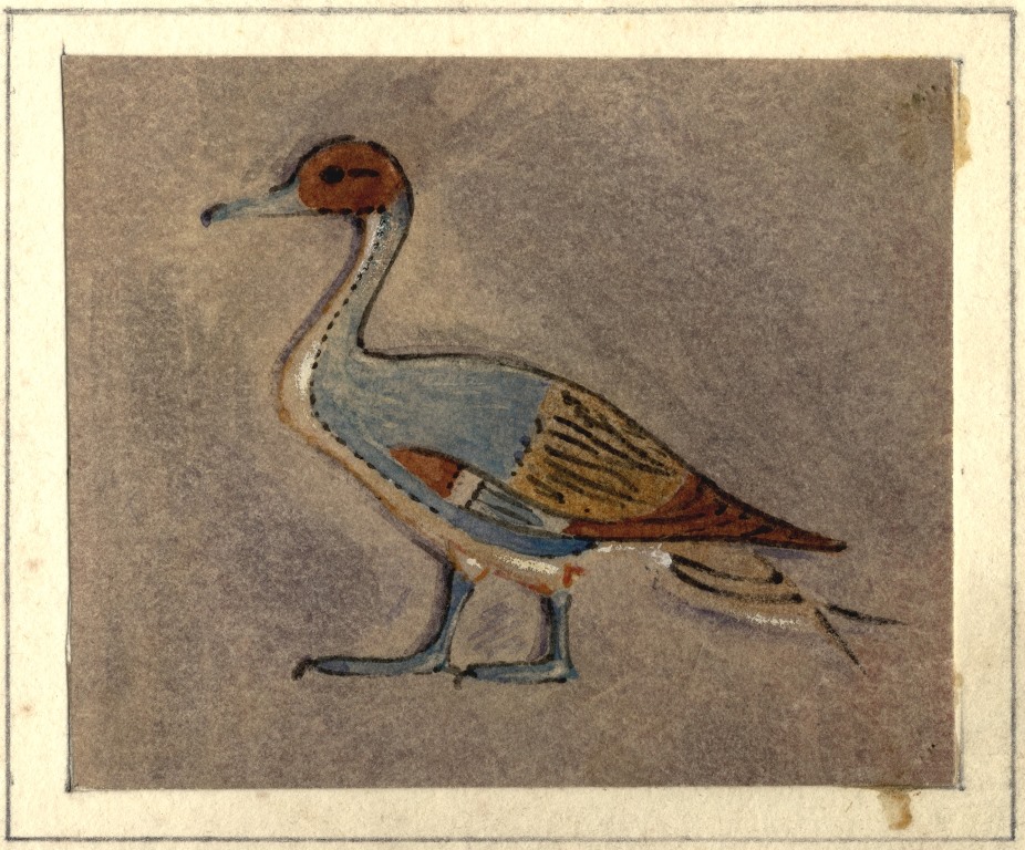 Griffith Institute Watercolour 150