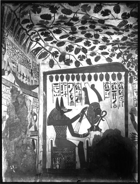 Simpson photo. 8: Thebes. Tomb TT 96, Sennufer. Temp. Amenophis II. Hall.