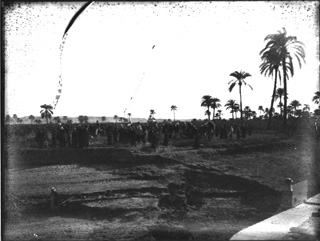 Click for a large version of this image