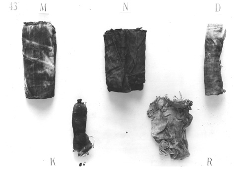 Burton photograph p0363 relating to Carter no. 043r