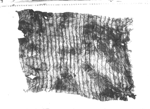 Burton photograph p0442 relating to Carter no. 050j