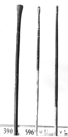 Burton photograph p1772 relating to Carter no. 596u