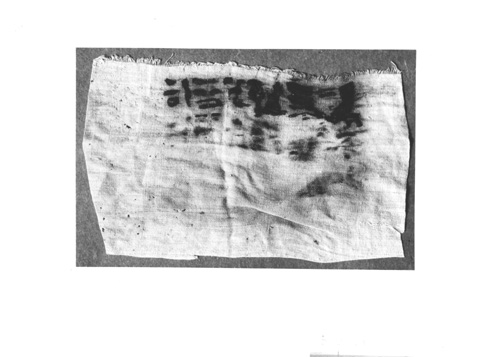 Burton photograph p1959 relating to Carter no. 300a