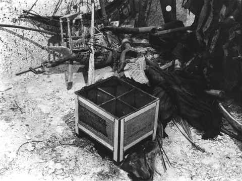 Burton photograph p1965 relating to Carter no. 333