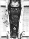 P1596