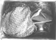 Icon of Burton photograph: p0083 (size=76.21Kb)