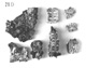 Icon of Burton photograph: p0417 (size=55.79Kb)