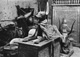 Icon of Burton photograph: p1094b (size=94.52Kb)