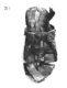Icon of Burton photograph: p1219 (size=37.94Kb)