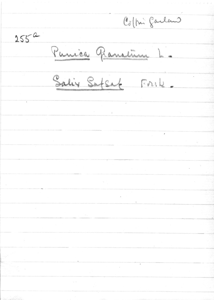 Card no. 255a-3 relating to Carter no. 255a