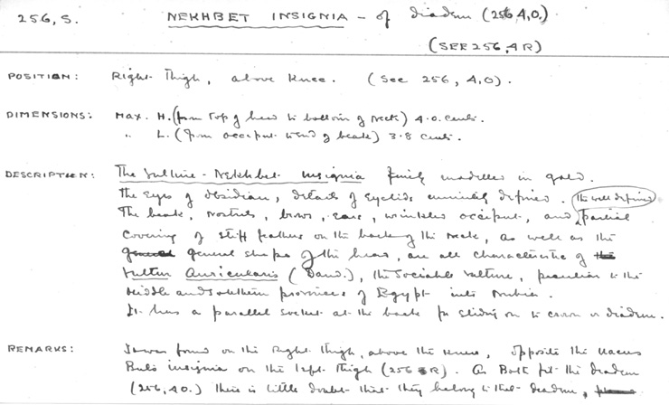 Card no. 256s relating to Carter no. 256s