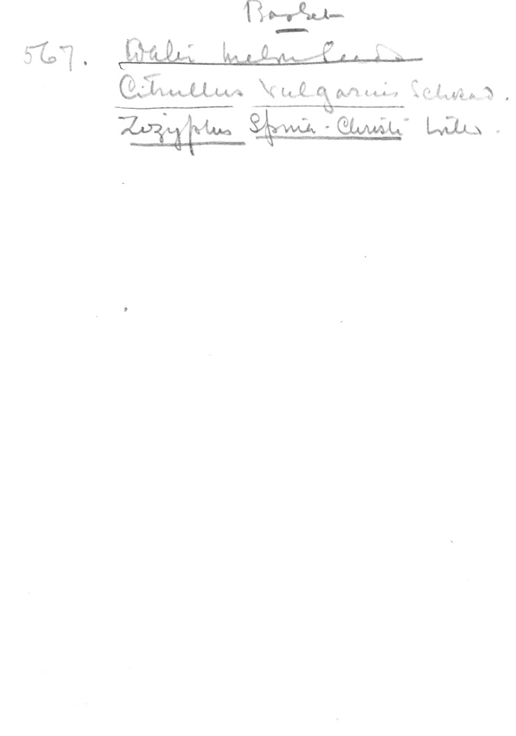 Card no. 567-2 relating to Carter no. 567
