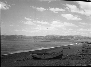 Red Sea shore