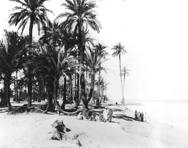 Sebah, J. P., Egyptian countryside (c.1890
[Estimated date.])