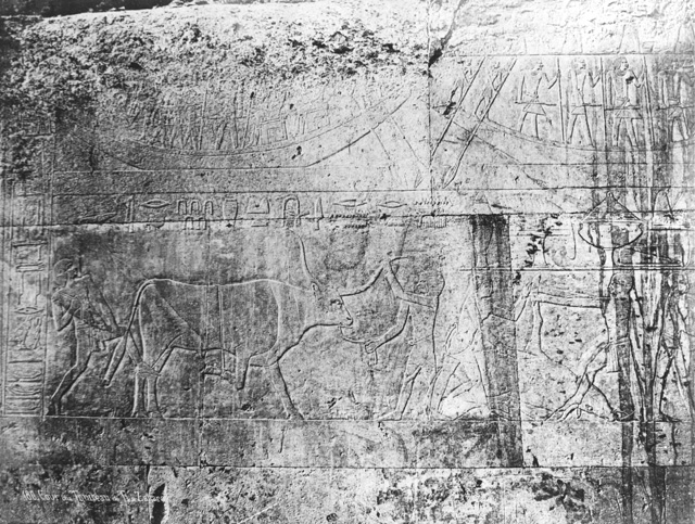 Sebah, J. P. (probably), Saqqara (c.1880
[Estimated date.])