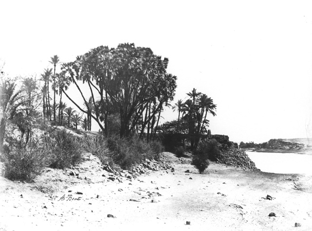 Beato, A., Egyptian countryside (c.1890
[Estimated date.])