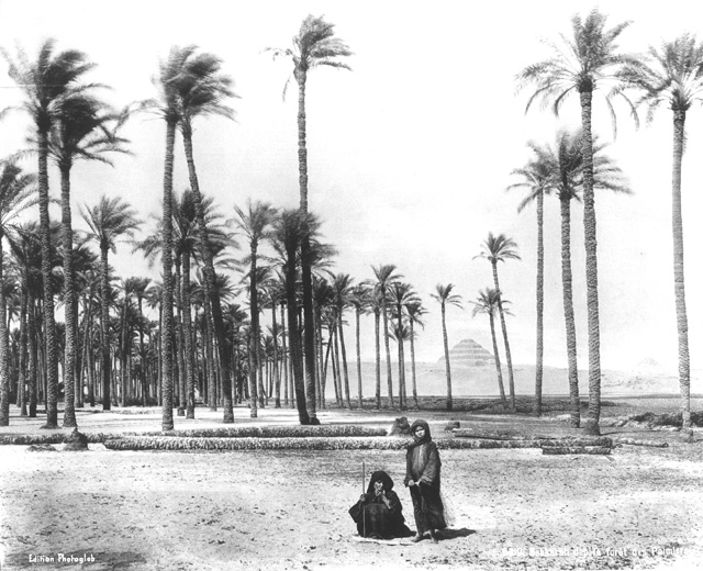 Edition Photoglob, Saqqara (c.1880
[Estimated date.])