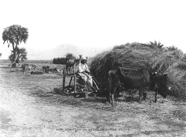 not known, People and scenes of daily life (c.1890
[Estimated date.])