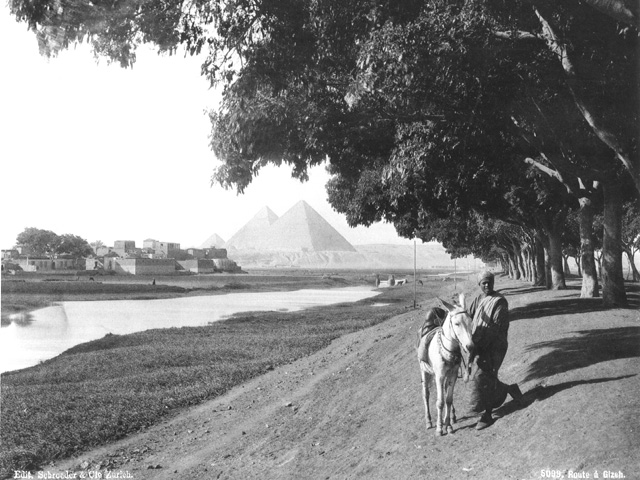 Schroeder & Cie., Giza (c.1890
[Estimated date.])