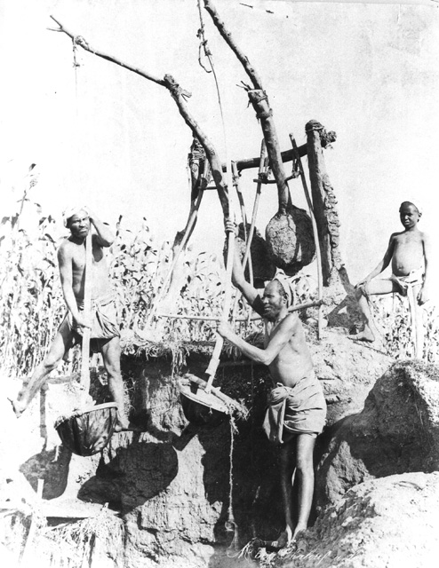 Zangaki, G., Irrigation devices (c.1890
[Estimated date.])