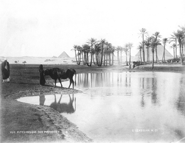Lekegian, G., Giza (c.1890
[Estimated date.])