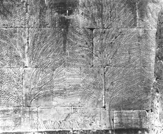 not known, The Theban west bank, Deir el-Bahri (c.1895
[Estimated date.]) (Enlarged image size=58Kb)