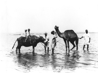 Lekegian, G., People and scenes of daily life (c.1890
[Estimated date.]) (Enlarged image size=27Kb)