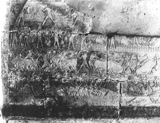Zangaki, G., Saqqara (c.1890
[Estimated date.]) (Enlarged image size=53Kb)