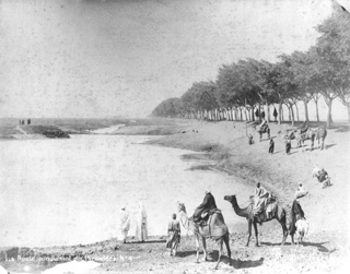 Abdullah Fr�res, Giza (c.1880
[Estimated date.]) (Enlarged image size=35Kb)