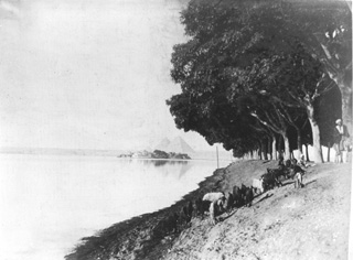 Bonfils, F., Giza (c.1880
[Estimated date.]) (Enlarged image size=31Kb)