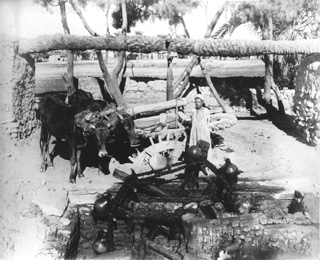 not known, Irrigation devices (c.1890
[Estimated date.]) (Enlarged image size=51Kb)
