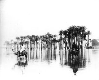 Bonfils, F., Egyptian countryside (c.1880
[Estimated date.]) (Enlarged image size=27Kb)