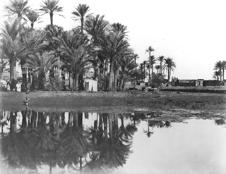 Sebah, J. P., Egyptian countryside (before 1874
[In an album dated 1873-4.]) (Enlarged image size=38Kb)