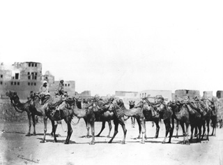 Hammerschmidt, W., People and scenes of daily life (1857-9
[The dates of Hammerschmidt's visits to Egypt.]) (Enlarged image size=26Kb)