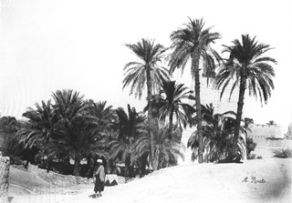 Beato, A., Karnak (c.1890
[Estimated date.]) (Enlarged image size=33Kb)