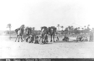 Fiorillo, L., People and scenes of daily life (c.1880
[Estimated date.]) (Enlarged image size=24Kb)