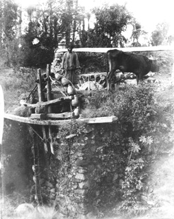 Zangaki, G., Irrigation devices (c.1890
[Estimated date.]) (Enlarged image size=50Kb)