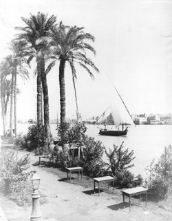 Zangaki, G., Cairo (c.1890
[Estimated date.]) (Enlarged image size=37Kb)