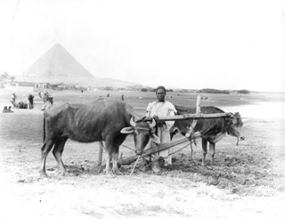 Bonfils, F., People and scenes of daily life (c.1880
[Estimated date.]) (Enlarged image size=27Kb)