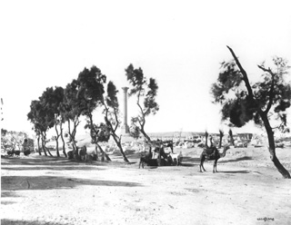 not known, Alexandria (c.1870
[Estimated date.]) (Enlarged image size=33Kb)
