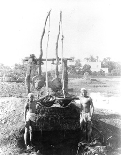 not known, Irrigation devices (c.1890
[Estimated date.]) (Enlarged image size=33Kb)