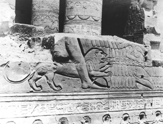 not known, Kom Ombo (c.1890
[Estimated date.]) (Enlarged image size=48Kb)