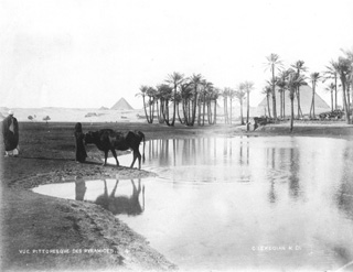 Lekegian, G., Giza (c.1890
[Estimated date.]) (Enlarged image size=28Kb)