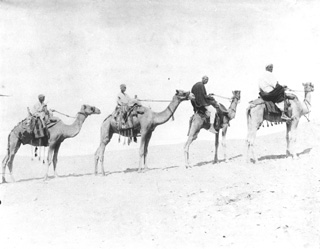 Sebah, J. P., People and scenes of daily life (c.1890
[Estimated date.]) (Enlarged image size=27Kb)