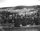 (Click for larger version of this image)
