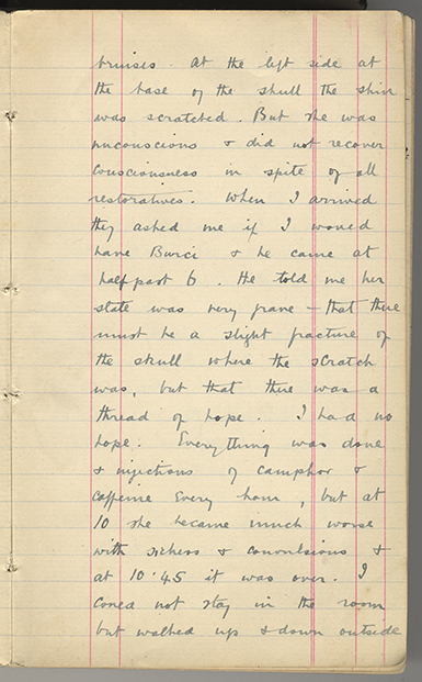 Minnie Burton's Diary, p. 5
